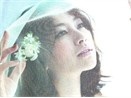 Shin Ae lam co dau xinh dep hinh anh
