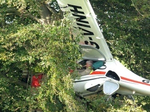 May bay ha canh tren cay hinh anh