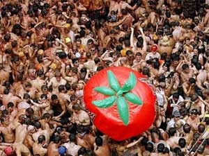 Le hoi nem ca chua hinh anh