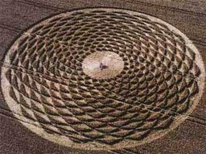 Tim thay xuong cot nguoi ngoai hanh tinh? hinh anh