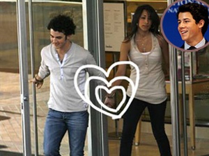 Cau ca nha Jonas sap len xe hoa hinh anh