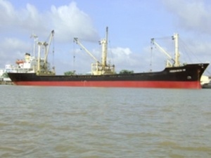 Tau chim, 15 thuy thu Viet Nam duoc cuu song hinh anh