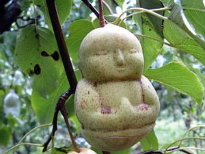 Qua le hinh hai nhi hinh anh
