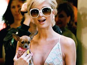 Paris Hilton xuat hien trong tu dien Oxford hinh anh