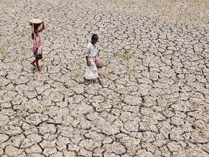 Nong dan An Do ban vo cho nha tho vi han han hinh anh