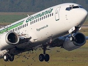 Chim tan cong may bay hinh anh