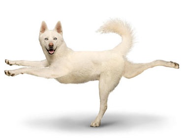 Cho tap Yoga hinh anh