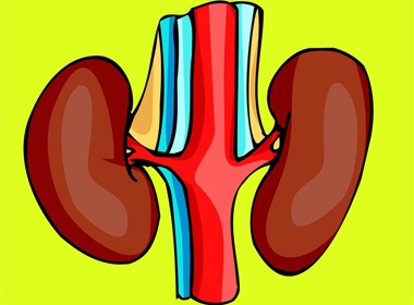 Nhon nhip ‘cho’ than online Trung Quoc hinh anh