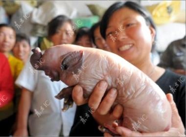 Lon de ra voi o Trung Quoc hinh anh