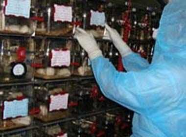 Vien Pasteur TP HCM san xuat thanh cong vacxin H1N1 hinh anh