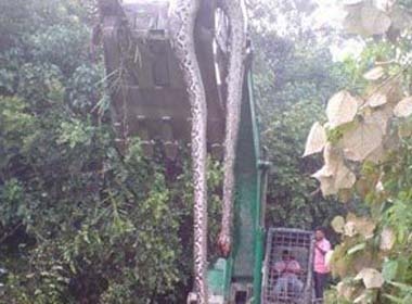 Tran dai gan 17m o Trung Quoc hinh anh