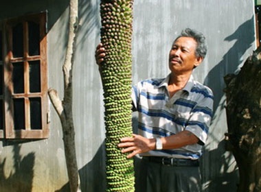 Buong chuoi hon 200 nai hinh anh
