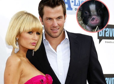 Paris Hilton va ban trai ngu chung giuong voi heo hinh anh