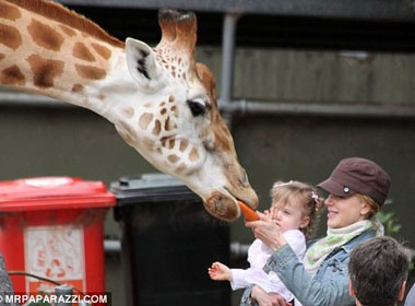 Nicole Kidman va con gai choi dua o vuon thu hinh anh