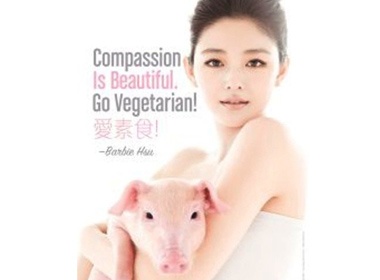 Tu Hy Vien khon kho vi heo xinh hinh anh