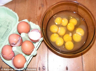 6 qua trung 2 long trong 1 gio hinh anh