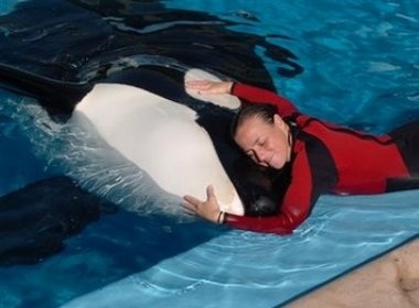 Ca heo giet HLV van duoc giu lai hinh anh