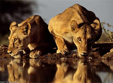 Doc dao hinh anh thu du ben ho nuoc hinh anh