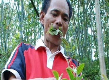 Nguoi dan ong song nho co va la cay hinh anh