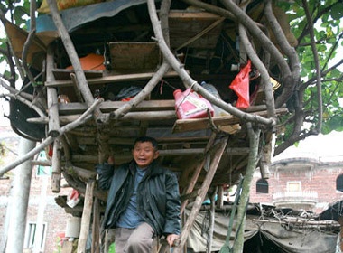 Nguoi song tren cay hinh anh