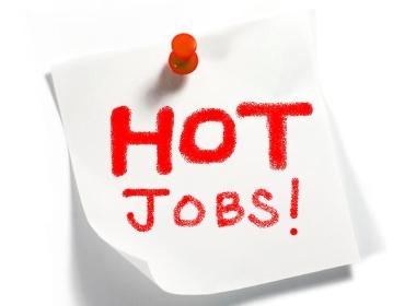 Mot vai 'meo' hay de xin viec hinh anh