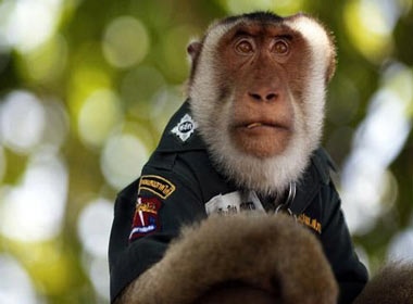 Khi mac trang phuc canh sat hinh anh