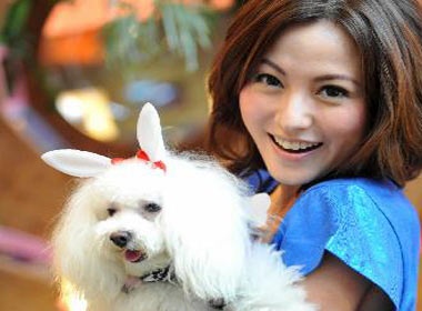 Cuoc thi sac dep cho cho o Hong Kong hinh anh