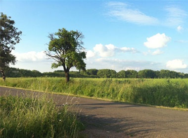 Nhung buc anh an tuong chup bang iPhone 4 hinh anh