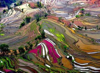 Ve dep me hon cua ruong bac thang hinh anh