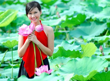 Hoa khoi Huong Giang hut hon voi yem tham, sen hong hinh anh