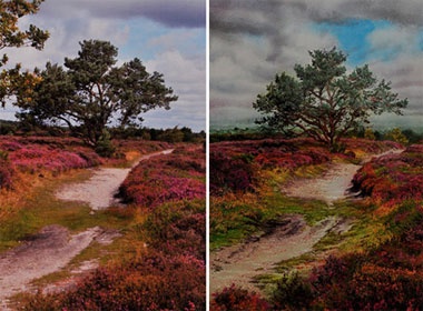 Huyen ao nhung buc tranh 've' bang... chi hinh anh