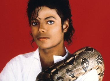 Fan pha hoai mo phan Michael Jackson hinh anh