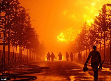 No ong dan dau gay hoa hoan kinh hoang o Trung Quoc hinh anh