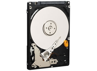 Western Digital co nha phan phoi chinh thuc tai Viet Nam hinh anh