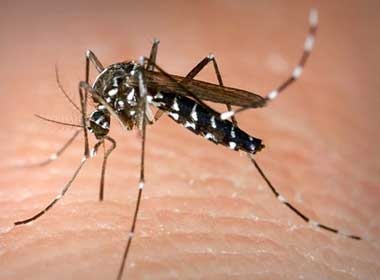 Muoi lam gian doan chuong trinh tin tuc o Dai Loan hinh anh