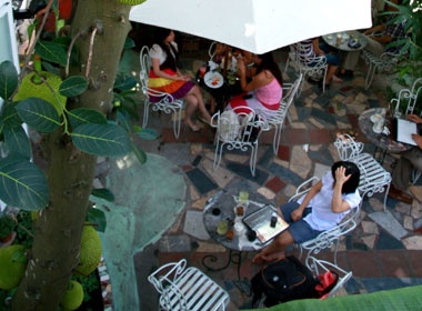 Chim Xanh - khu vuon la hinh anh