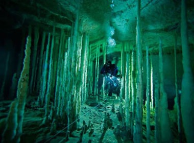 Nhung hang dong ky thu duoi day bien Bahamas hinh anh