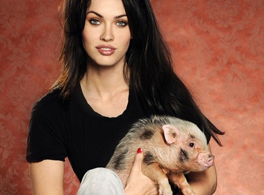 Megan Fox khoe heo moi goc Viet hinh anh