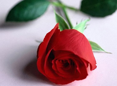 La thu xuc dong cua con gai gui me nhan ngay Vu Lan hinh anh