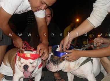 Dam cuoi cho o Viet Nam hinh anh