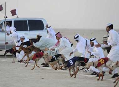 Gay can cho dua marathon hinh anh