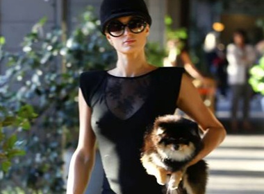 Paris Hilton 'tha rong' di shopping hinh anh