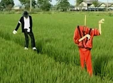 Dung hinh Michael Jackson de duoi chim hinh anh
