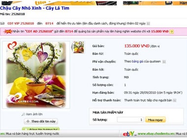 Trao luu 'san lung' qua tang 20/10 tren mang hinh anh