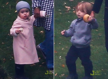 Ngam cap sinh doi nha Jolie-Pitt o Budapest hinh anh