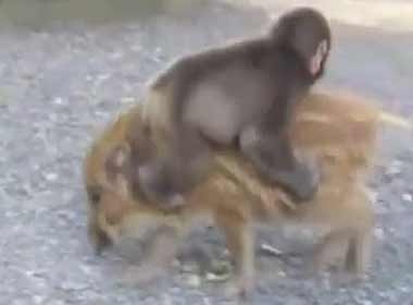 Lon cong khi chay phang phang hinh anh