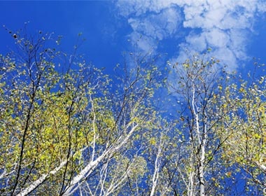 Mau quan san tren dinh Dai Hung An Linh hinh anh