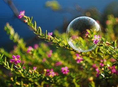 Sapa dep lang le dau dong hinh anh