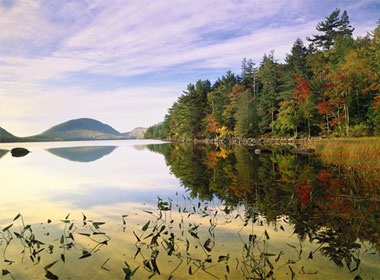 Mua thu ngang doc nuoc My hinh anh