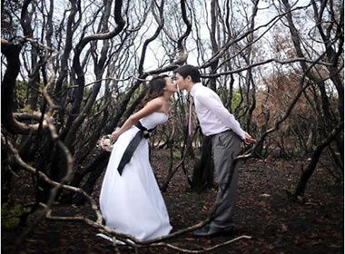 Chup anh cuoi va nghi trang mat mien phi tai Phan Thiet hinh anh